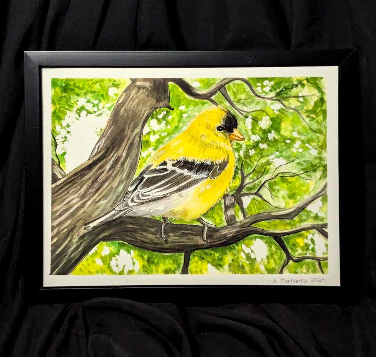 Goldfinch 2024