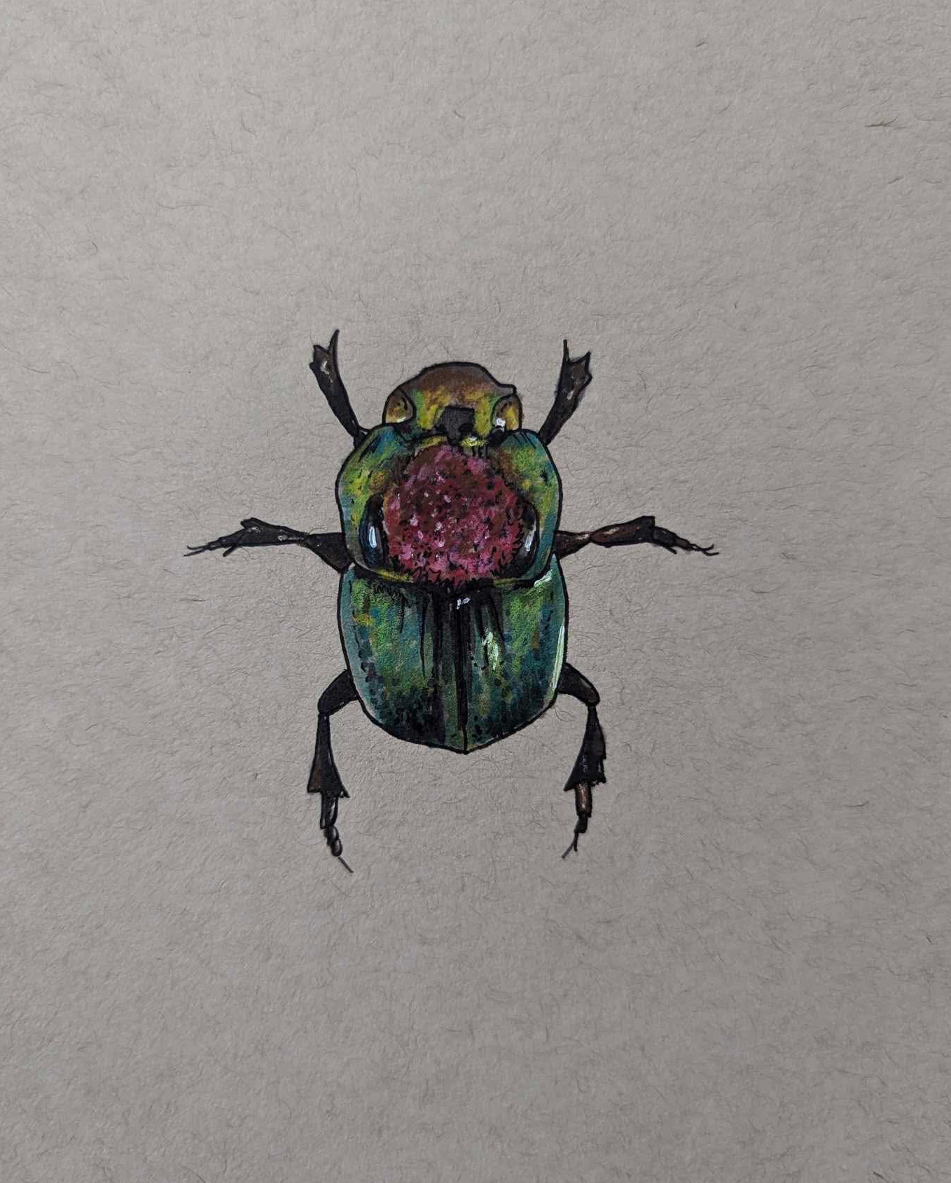 Rainbow Scarab