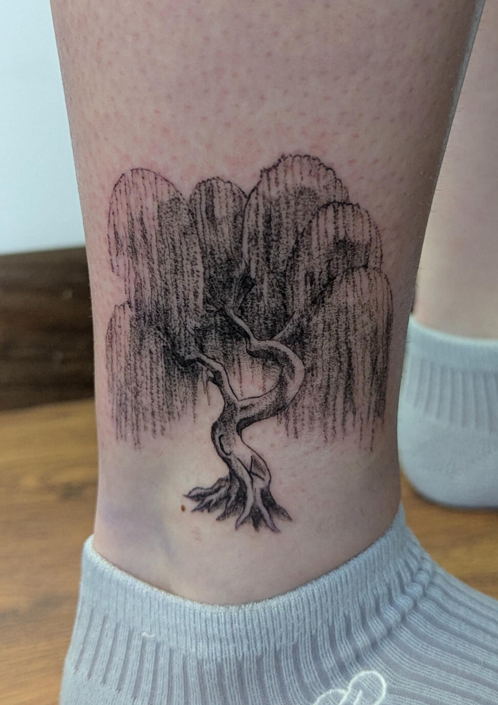 Willow Tree
