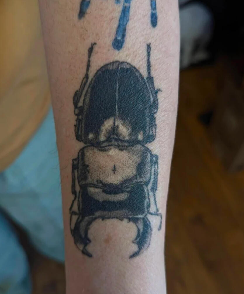 Healed Stag Beetle