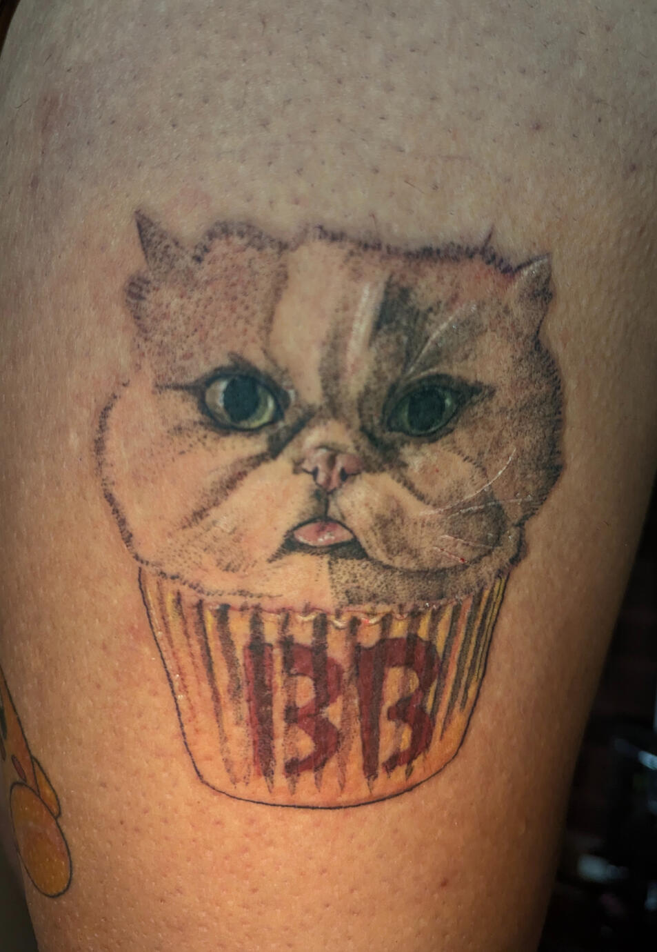 Memorial Cat cupcake