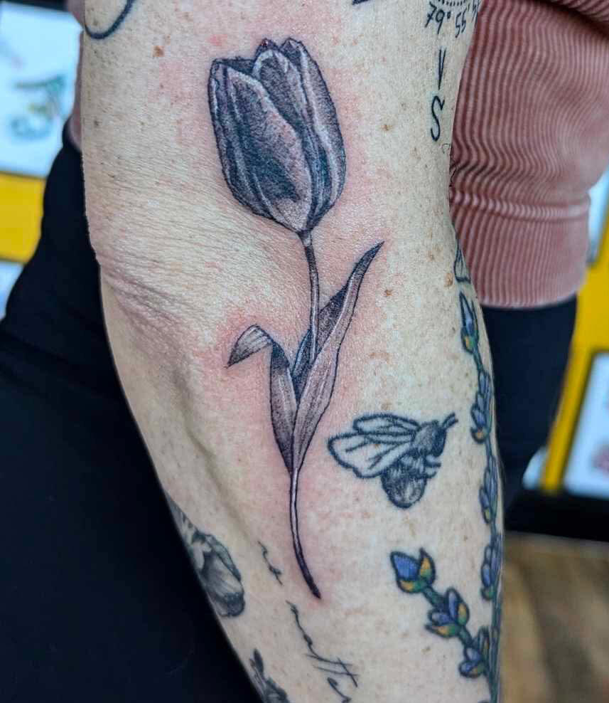Tulip