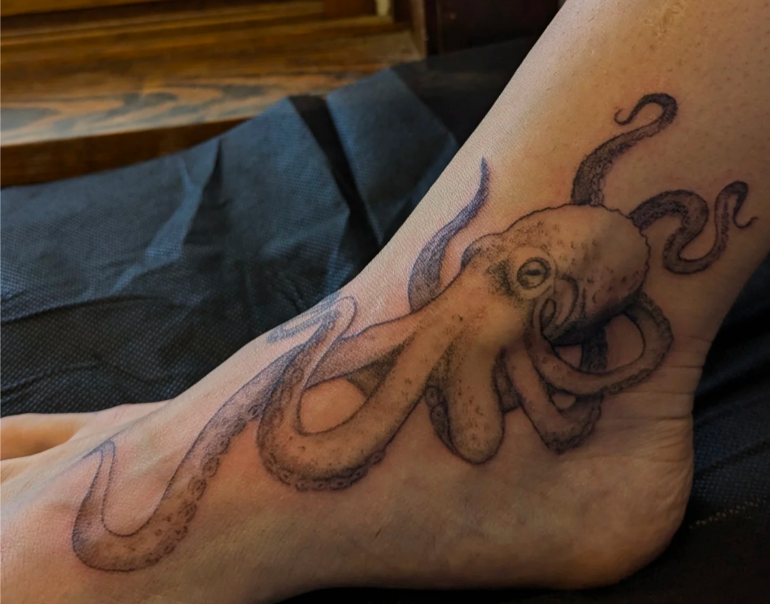 Octopus