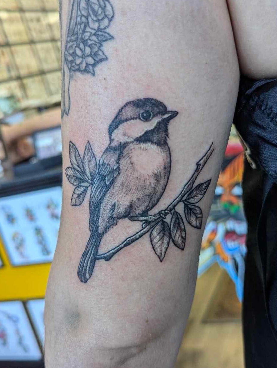 Chickadee