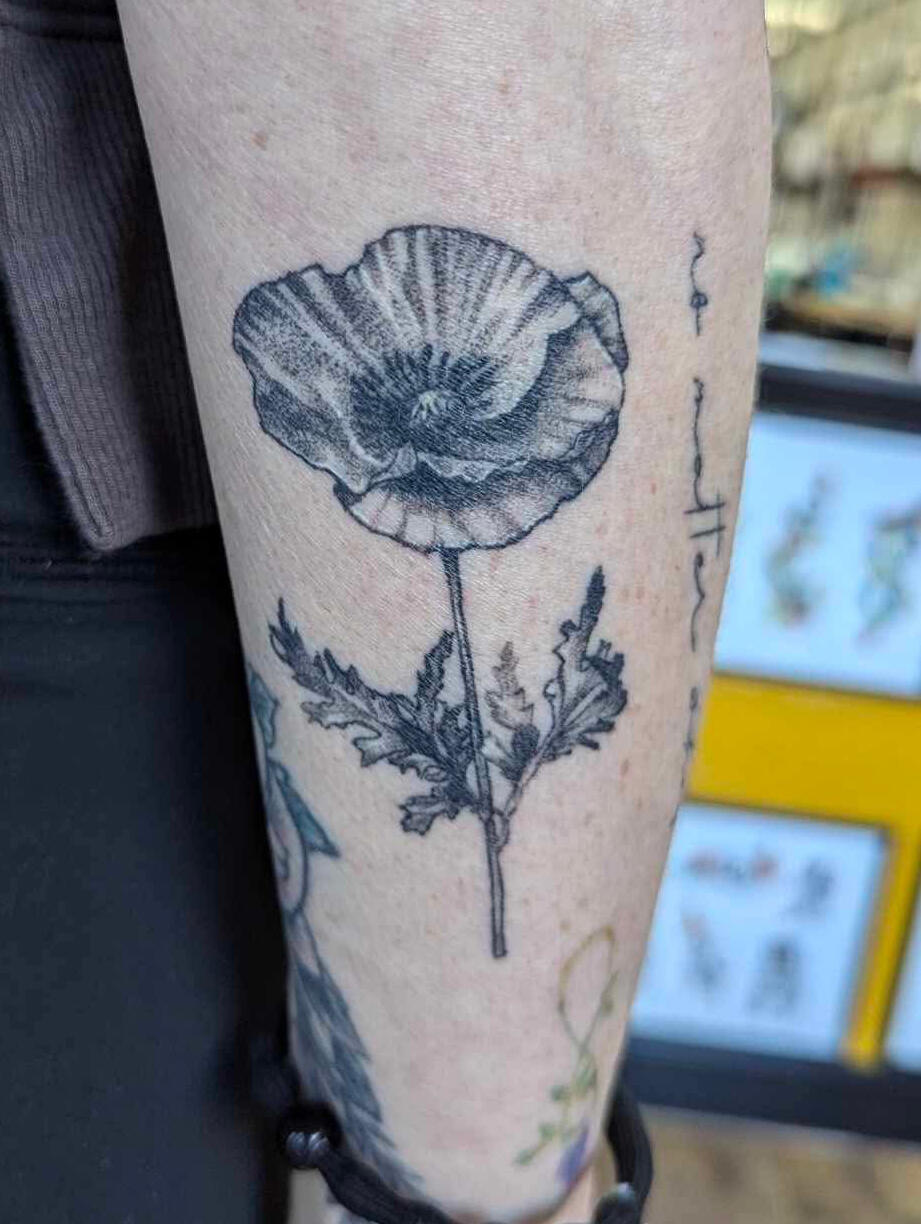 Healed Poppy