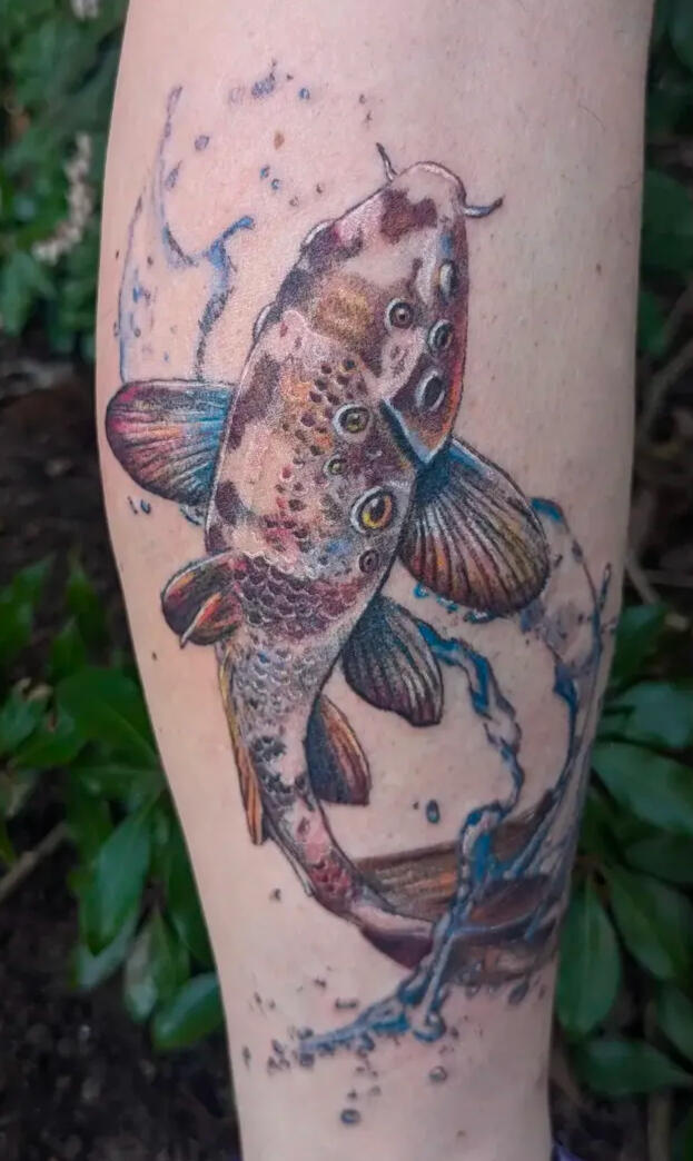 Koi