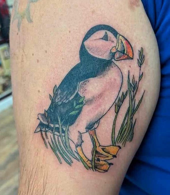 Puffin 2