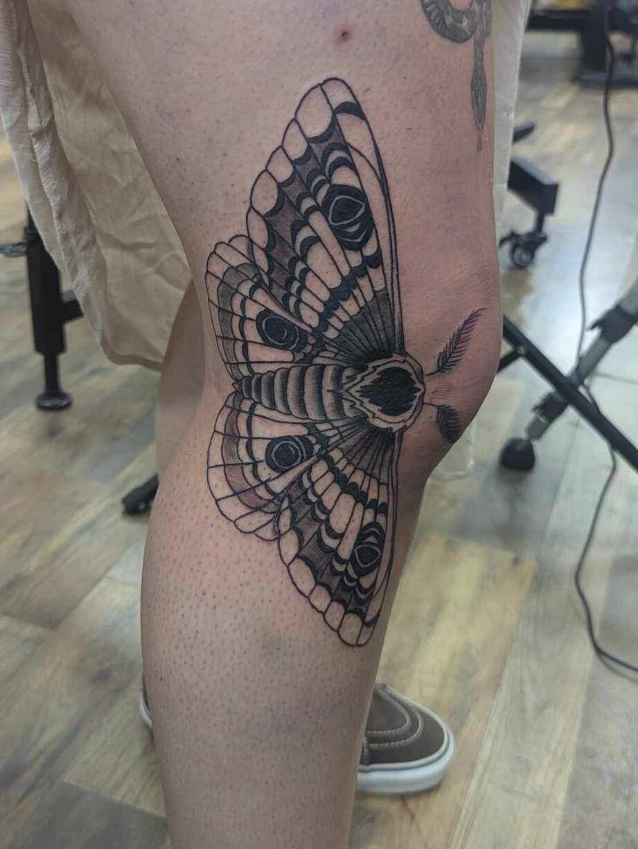 Moth Knee