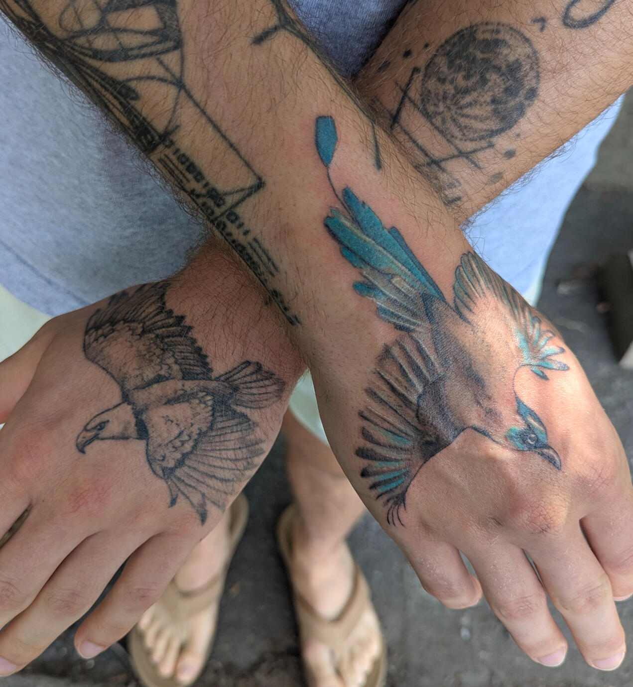 Eagle and Mot-Mot